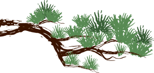 松のイラスト