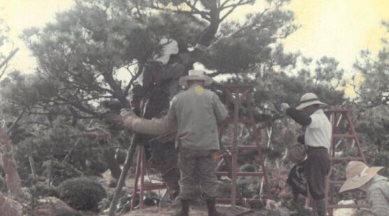 大津尚楽園の歴史